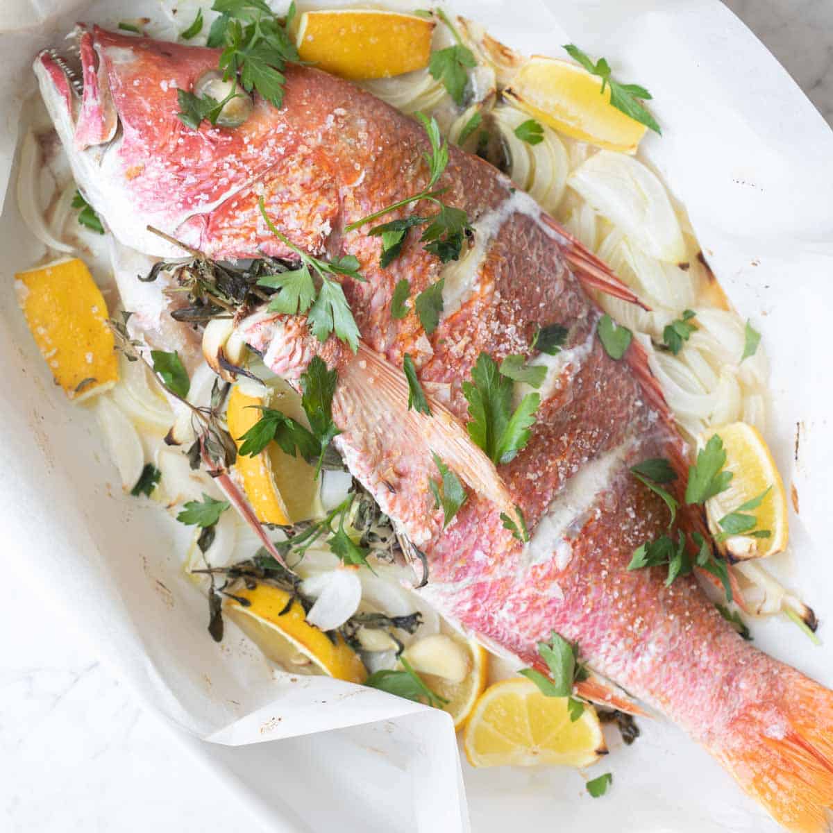 LACTOSEAFOOD® Red Snapper 红鲷鱼 – Lykkefish