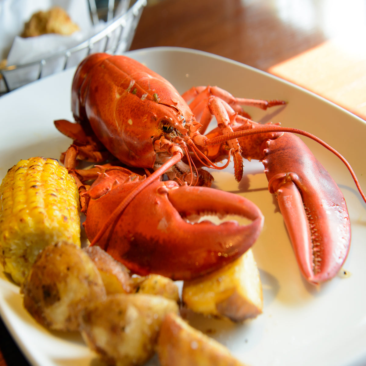 23-24 新品 LOBSTER/ロブスター AIRMSTER 150